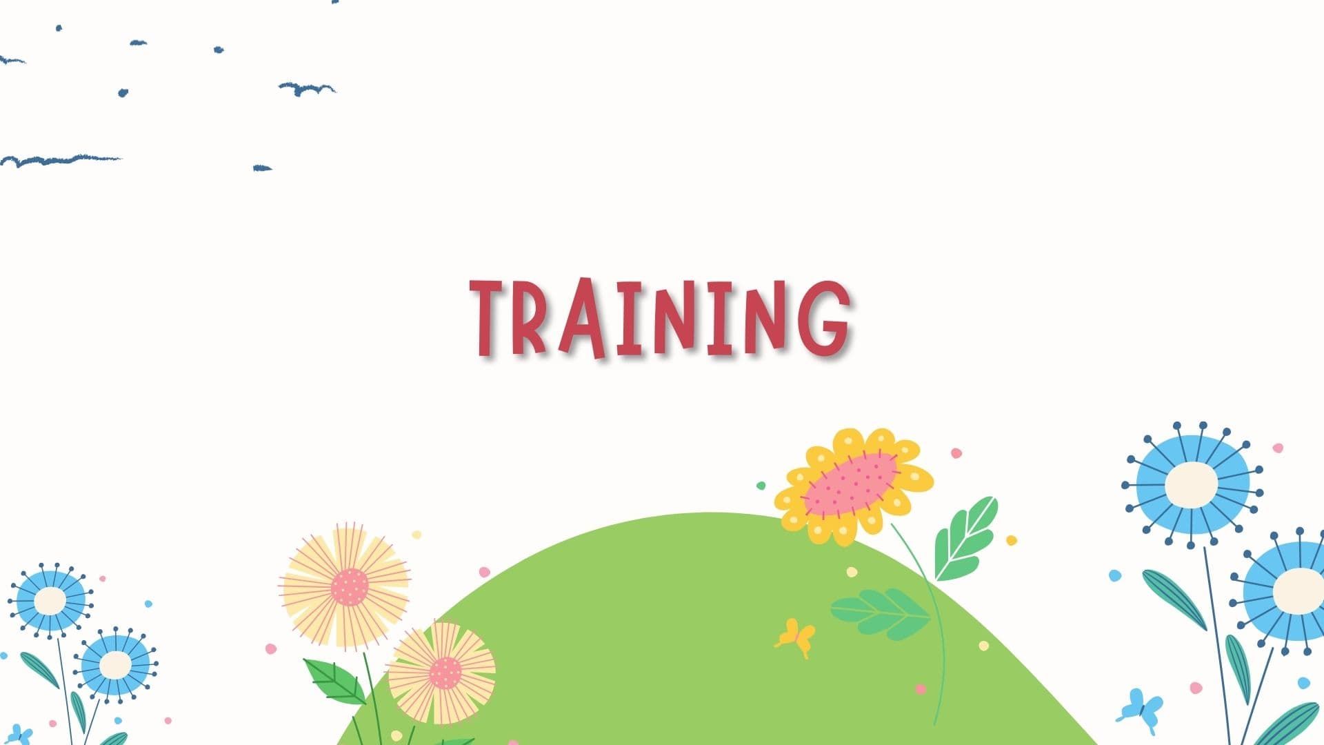 Car license plate detection - presentation - Training