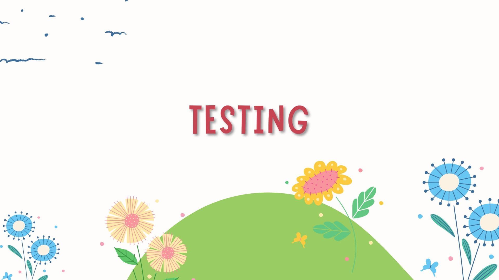 Car license plate detection - presentation - Testing